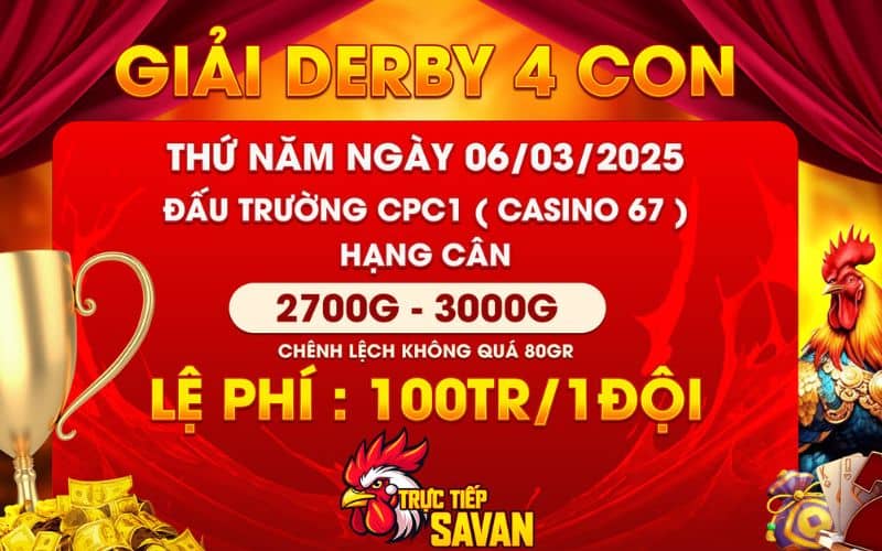 Giải DERBY 4 con gà nòi tại CPC1 ngày 06/03/2025