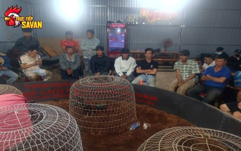 Hiện trường thu giữ 6 con gà đá và 130 triệu đồng