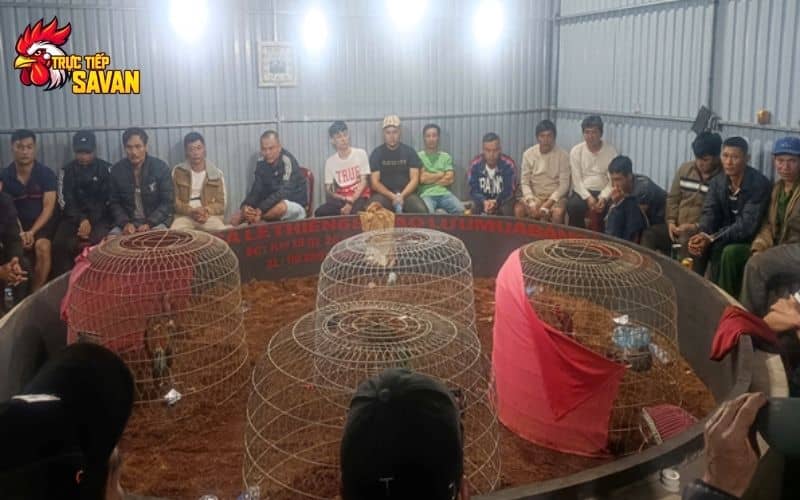 Hiện trường triệt phá tụ điểm đá gà ăn tiền