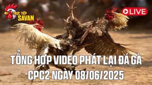 Tổng Hợp Video Phát Lại Đá Gà CPC2 Ngày 08-06-2025 của tructiepsavan