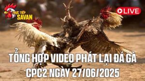 Tổng Hợp Video Phát Lại Đá Gà CPC2 Ngày 27-06-2025 của tructiepsavan