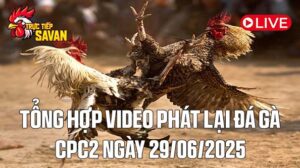 Tổng Hợp Video Phát Lại Đá Gà CPC2 Ngày 29-06-2025 của tructiepsavan