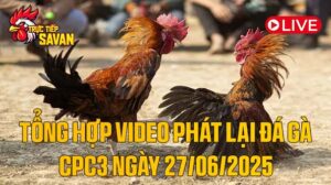 Tổng Hợp Video Phát Lại Đá Gà CPC3 Ngày 27-06-2025 của tructiepsavan