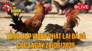 Tổng Hợp Video Phát Lại Đá Gà CPC3 Ngày 28-06-2025 của tructiepsavan