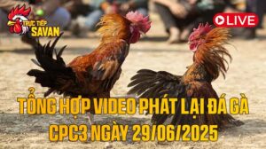 Tổng Hợp Video Phát Lại Đá Gà CPC3 Ngày 29-06-2025 của tructiepsavan