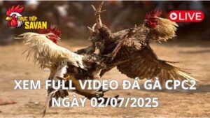 Xem lại video đá gà CPC2 ngày 02_07_2025 tại Trực Tiếp Savan