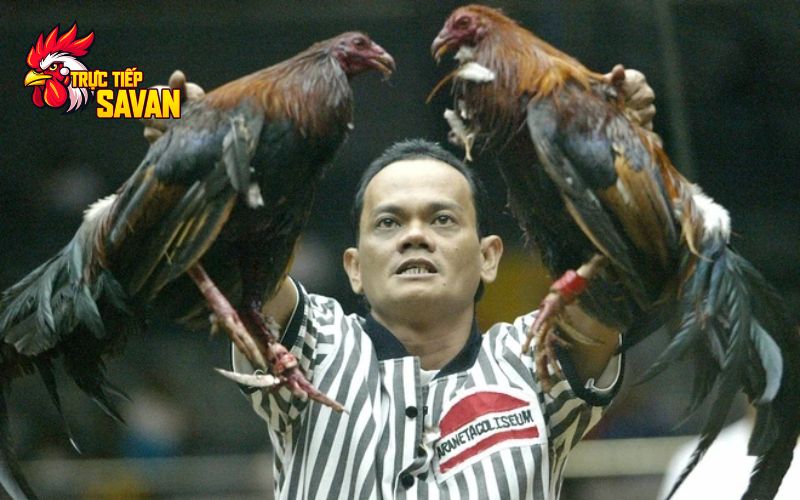 Đánh giá kết quả trận đấu