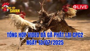 Phát Lại Đá Gà CPC2 Trực Tiếp Ngày 13/07/2025