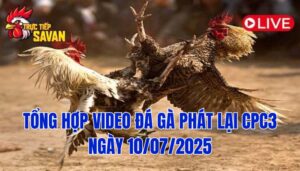Phát Lại Đá Gà CPC3 Trực Tiếp Ngày 10/07/2025