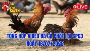 Phát Lại Đá Gà CPC3 Trực Tiếp Ngày 13/07/2025