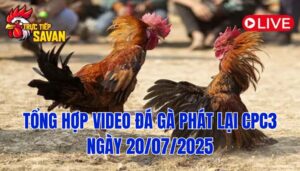 Phát Lại Đá Gà CPC3 Trực Tiếp Ngày 20/07/2025