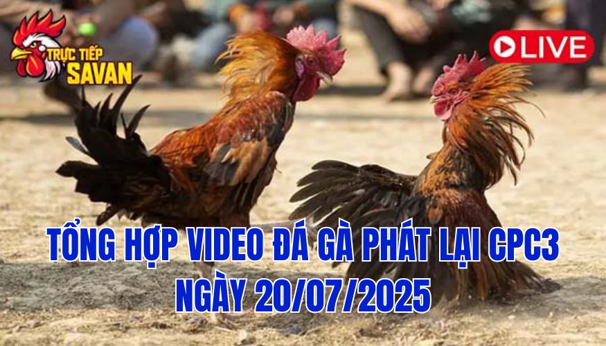 Phát Lại Đá Gà CPC3 Trực Tiếp Ngày 20/07/2025