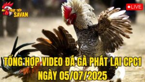 Phát Lại Đá Gà CPC1 Trực Tiếp Ngày 05/07/2025