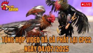 Phát Lại Đá Gà CPC2 Trực Tiếp Ngày 04/07/2025