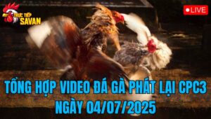 Phát Lại Đá Gà CPC3 Trực Tiếp Ngày 04/07/2025