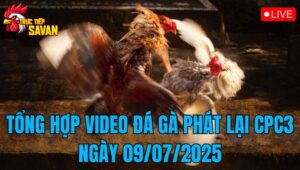 Phát Lại Đá Gà CPC2 Trực Tiếp Ngày 09/07/2025