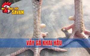 Vảy Gà Khai Hậu Là Gì? Cách Nhận Biết Và Những Điều Cần Lưu Ý